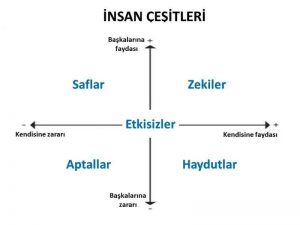 insan çeşitleri