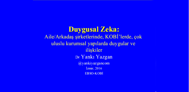 duygusal zeka sunum